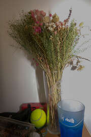 Image without a name